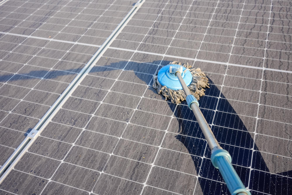 SOLAR PANEL CLEANING