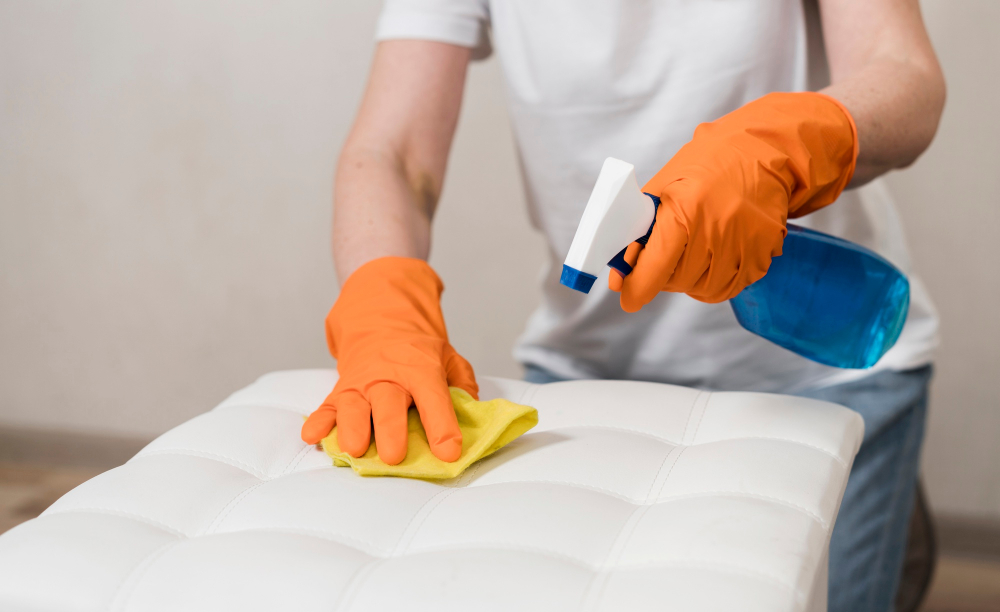 Coach Cleaning