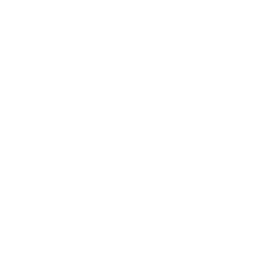 telephone